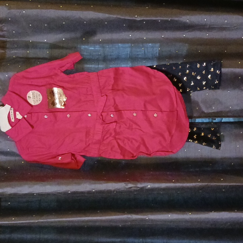 Two piece girls shirt and leggings size 6x